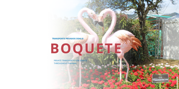 Boquete